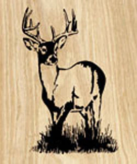10 Point Buck Project Pattern