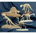 12 Mini Dinosaur Skeletons Project Patterns
