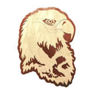 Bald Eagle - Nature's Majesty Project Pattern(F)