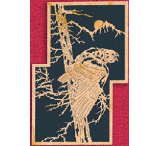 Bald Eagle Staggered Project Pattern
