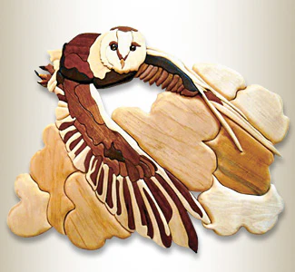 Barn Owl Intarsia Design Pattern