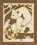 Bears Project Patterns