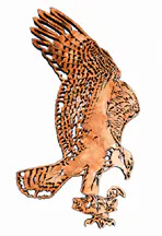 Birds of Prey - Set of 3  Project Patterns