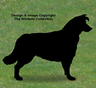 Border Collie Shadow Wood Pattern