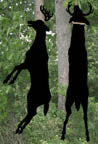 Buck Pole Shadow Woodcrafting Pattern(F)