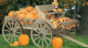 Buckboard Wagon Woodworking Plan
