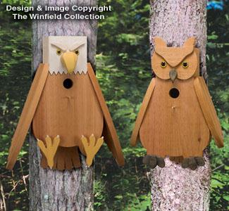Cedar Eagle & Owl Birdhouse Plans