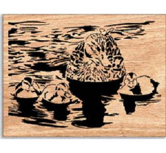 Champ Scrolled Art Project Pattern