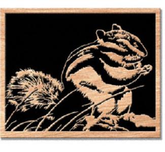 Chipmunk Project Pattern