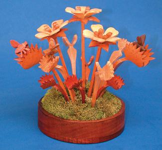 Compound Cut Mini Venus Flytrap Bog Project Patterns
