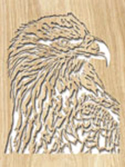 Eagle 2 Project Pattern
