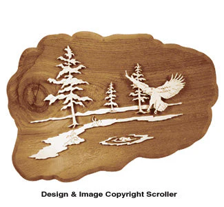 Eagle Fishing Project Pattern