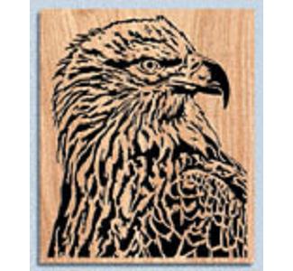 Eagle Portrait Project Pattern