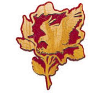 Eagle/Rose Wildflower Project Patterns(F)