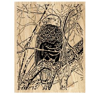 Eagle's Watch Scrolled Art Project Pattern