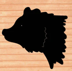 Giant Grizzly Bear Head Shadow Wood Pattern