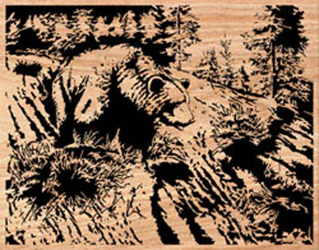 Great Grizzly Project Pattern