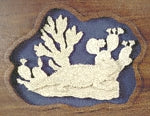 Horn Toad Project Pattern