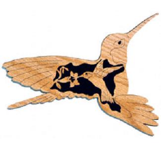 Hummingbird - Nature's Majesty Project Pattern(F)