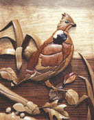 Intarsia - Pheasant Scroll Saw Pattern [INTHH]