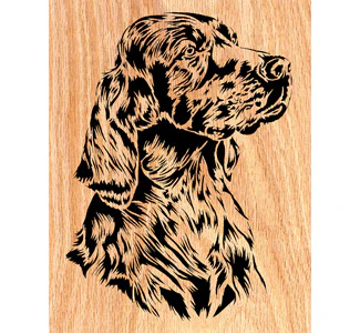 Irish Setter Scrolled Art Design Pattern