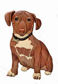 Jake the Rescue Dog Intarsia Pattern