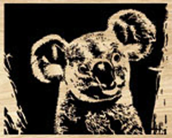 Koala Project Pattern