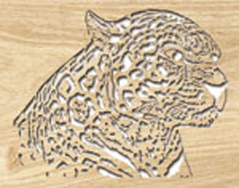 Leopard Project Pattern