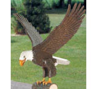Majestic Eagle Wood Pattern