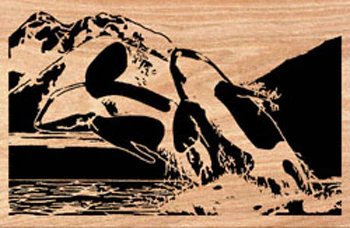 Orca Splashdown Project Pattern