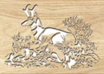 Pronghorn Project Pattern