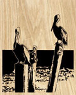 Pylon Pelicans Project Pattern