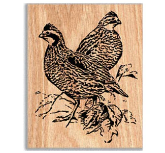Quail Project Pattern