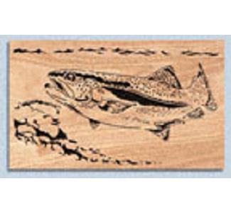 Rainbow Trout Project Pattern