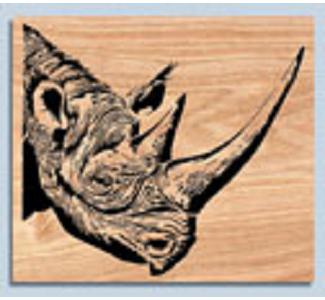 Rhino Project Pattern