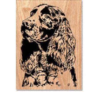 Springer Spaniel Project Pattern