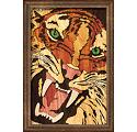 Tiger Growl Segmentation Project Pattern
