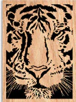 Tiger Stare Scrolled Art Project Pattern