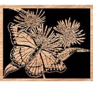 Viceroy on Asters Project Pattern