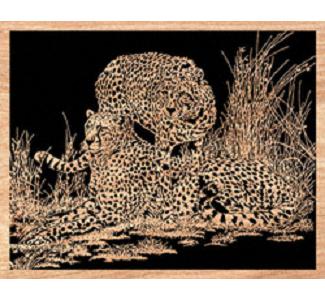 Vigilant Cheetahs Project Pattern