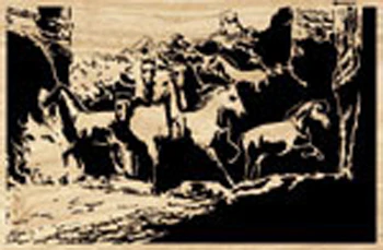 Wild Mustangs Project Pattern