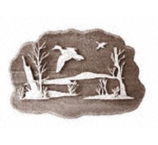 Wood Ducks in Flight Project Pattern