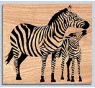 Zebras Project Patterns